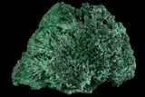 Silky Fibrous Malachite Cluster - Congo #81758-2